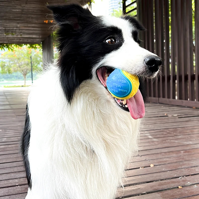 pelota mordedora para perros resistente y limpiadora de dientes